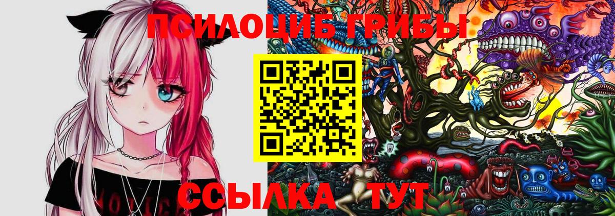 Бор  закладка  Вход с VPN  Псилоцибиновые грибы ЛСД 